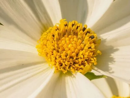 Changing Part Of My Relationship With...