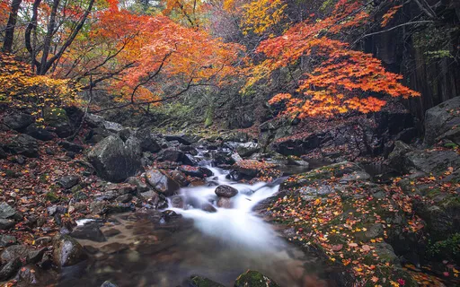 Meditation For Release & Ease - "Changing Seasons"