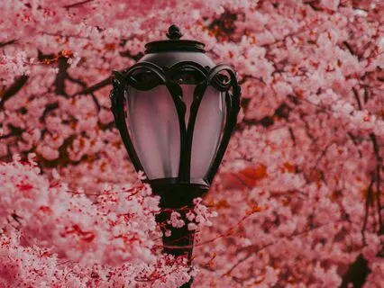 Changing The Patterns In Our Lives