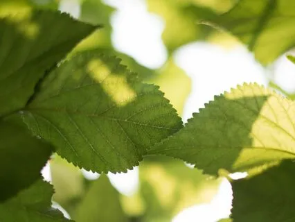 Changing The Stories You Make Up In Your Head