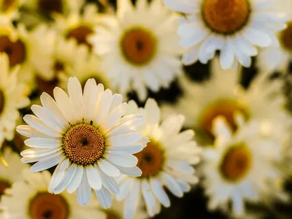 Changing Your Thought Patterns