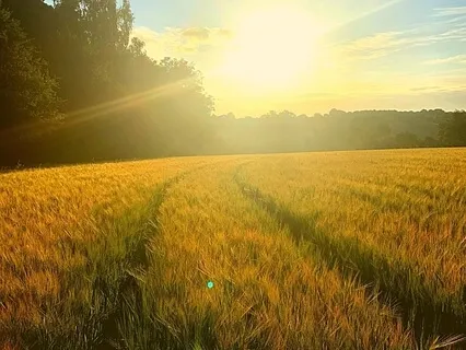 Om Bhumi Deva Namah - Midday Mantra For Focus And Clarity