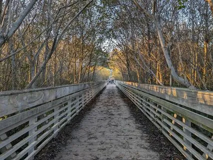 Channeled Message About Transitions