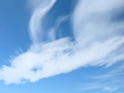 Channeled Message From The Dragon: Take Back Your Power