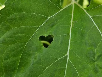 Channeled Wisdom For Your Empowerment