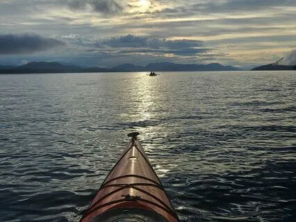 Channeled Wisdom Summary From Nov. 12