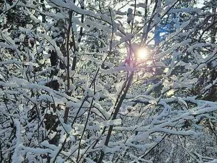 Channeled Wisdom Recap Dec. 10