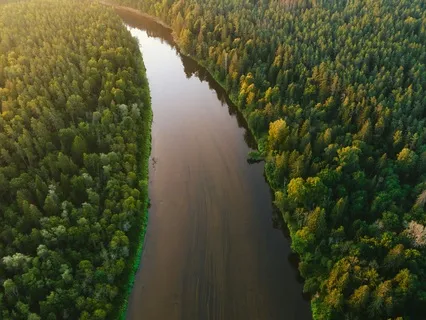 Channeling Wealth Flow With 888 Hz Theta Vibration