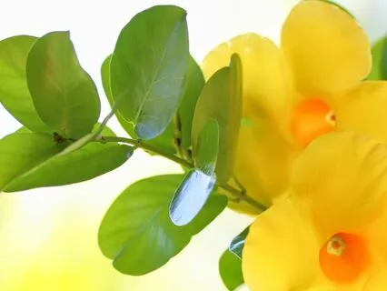 Channelled Crystal Healing Session - Positive Mindset