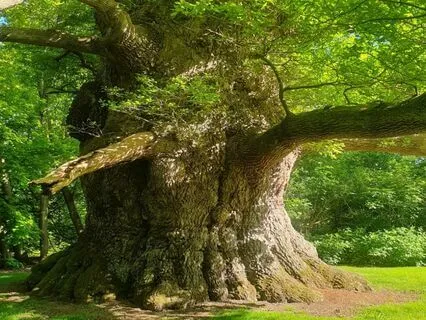 Chant For Relaxation