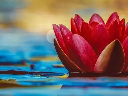 Chant The Bijas For The Chakras