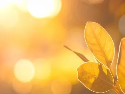 Chanting For Collective Peace | Lokah Samastah