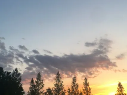 Chanting For Immunity And Healing