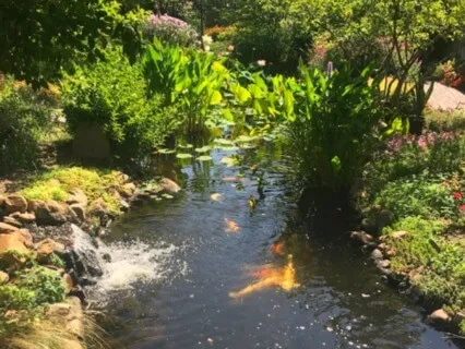 Chanting For Universal Happiness