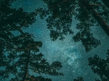 Chanting Heaven Chakra Reboot Meditation