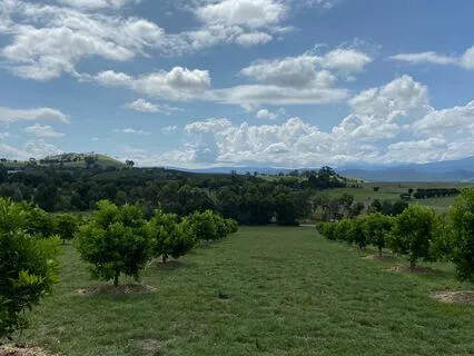 Chanting Meditation To Improve Focus