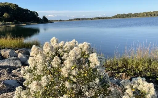 Chanting Om Namah Shivaya
