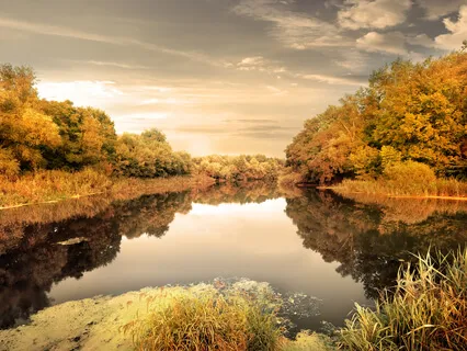 Chanting The Ganesha Bīja Mantra
