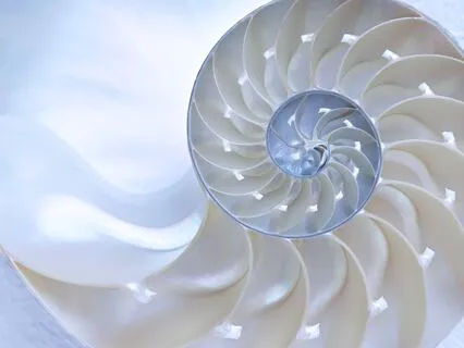 Chanting Through The Chakras - Live At Quantum Dome