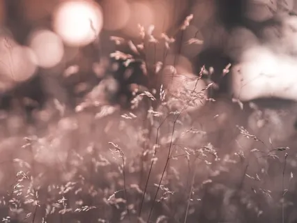 Chanting Vocal Tones (No Words): I Am Enough, I Always Have Enough