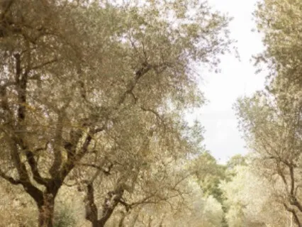 Chants With Radiant Jane