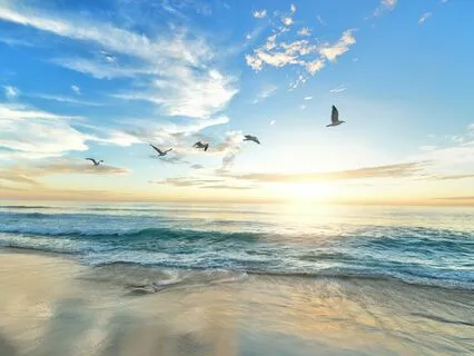 Chaos To Calm Meditation (5 Minutes)