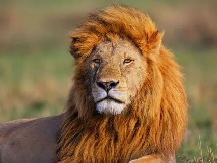 Bravery Affirmations