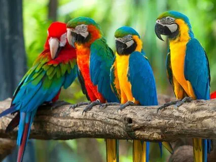 Character Development: Creativity And Affirmations