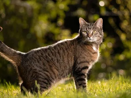 Character Development: Curiosity And Affirmations