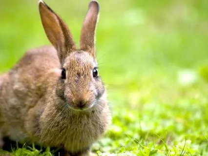 Character Development: Forgiveness And Affirmations