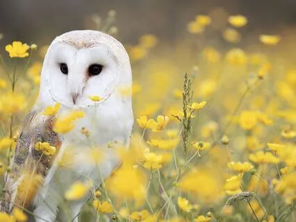 Character Development: Good Judgement And Affirmations