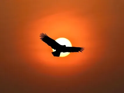 Honesty Affirmations