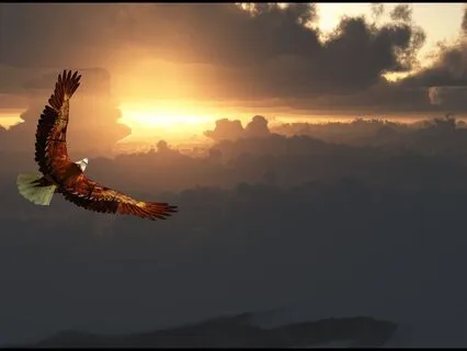 Character Development: Honesty And Honesty Affirmations