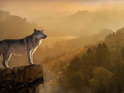 Character Development: Leadership And Affirmations