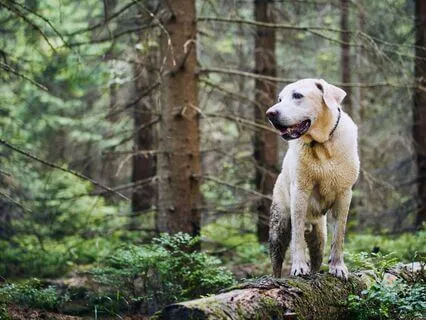 Character Development: Love And Love Affirmations