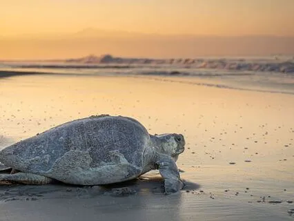 Perseverance Affirmations