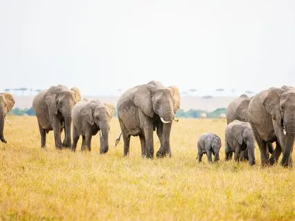 Character Development: Perspective And Affirmations