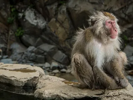 Character Development: Social Intelligence And Affirmations