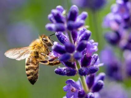 Character Development: Teamwork And Affirmations