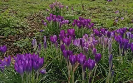 Character Strengths Breathing Space