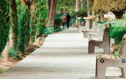 Charming Solo Guitar