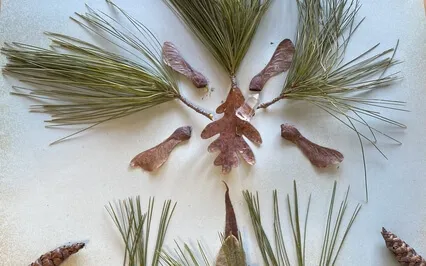 Chattr Chakkr Vartee 11 mins