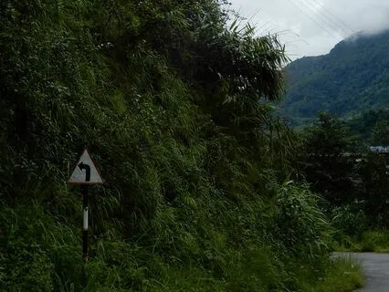 Check-In: How Are You?