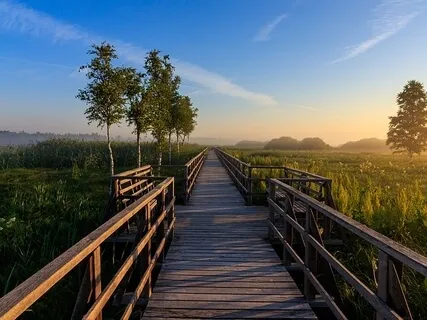 Check In To Meet Your Needs