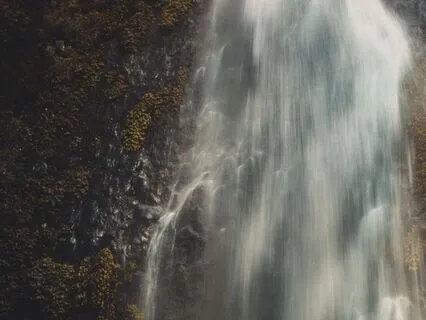 Check In With Your Body, Mind And Soul