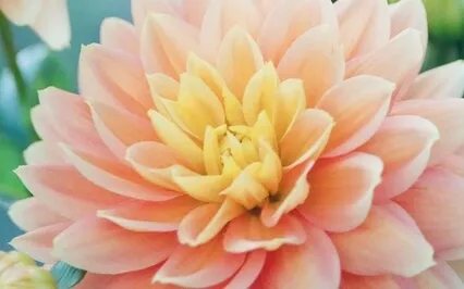 Check Your Nervous System