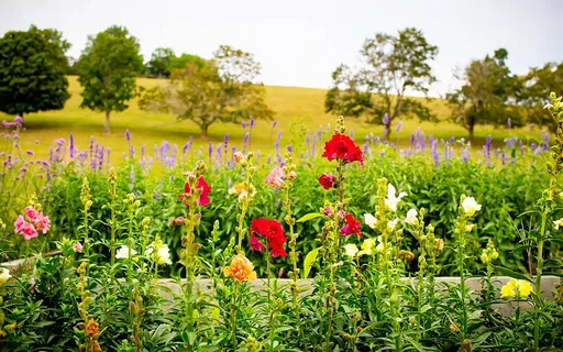 Checking In - The Physical, Mental, Emotional And Spiritual