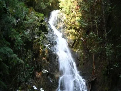 Checking In With Neglected Parts Sound Healing Meditation