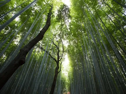 Checking In With Ourselves