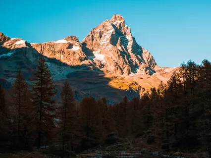 Checking In With Your Body